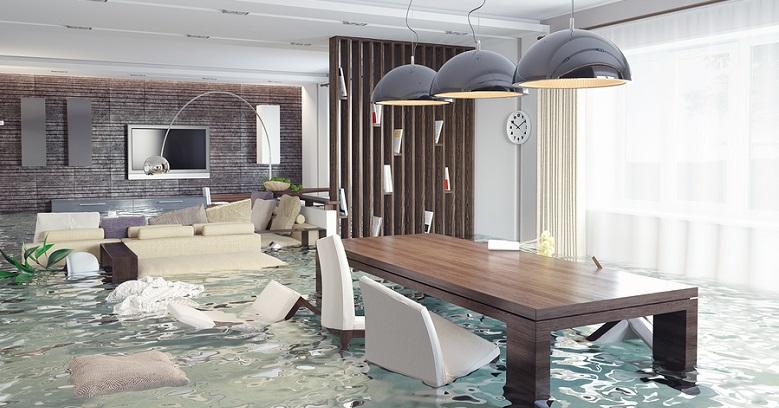 Flood Damage Cleanout Service In Aloha