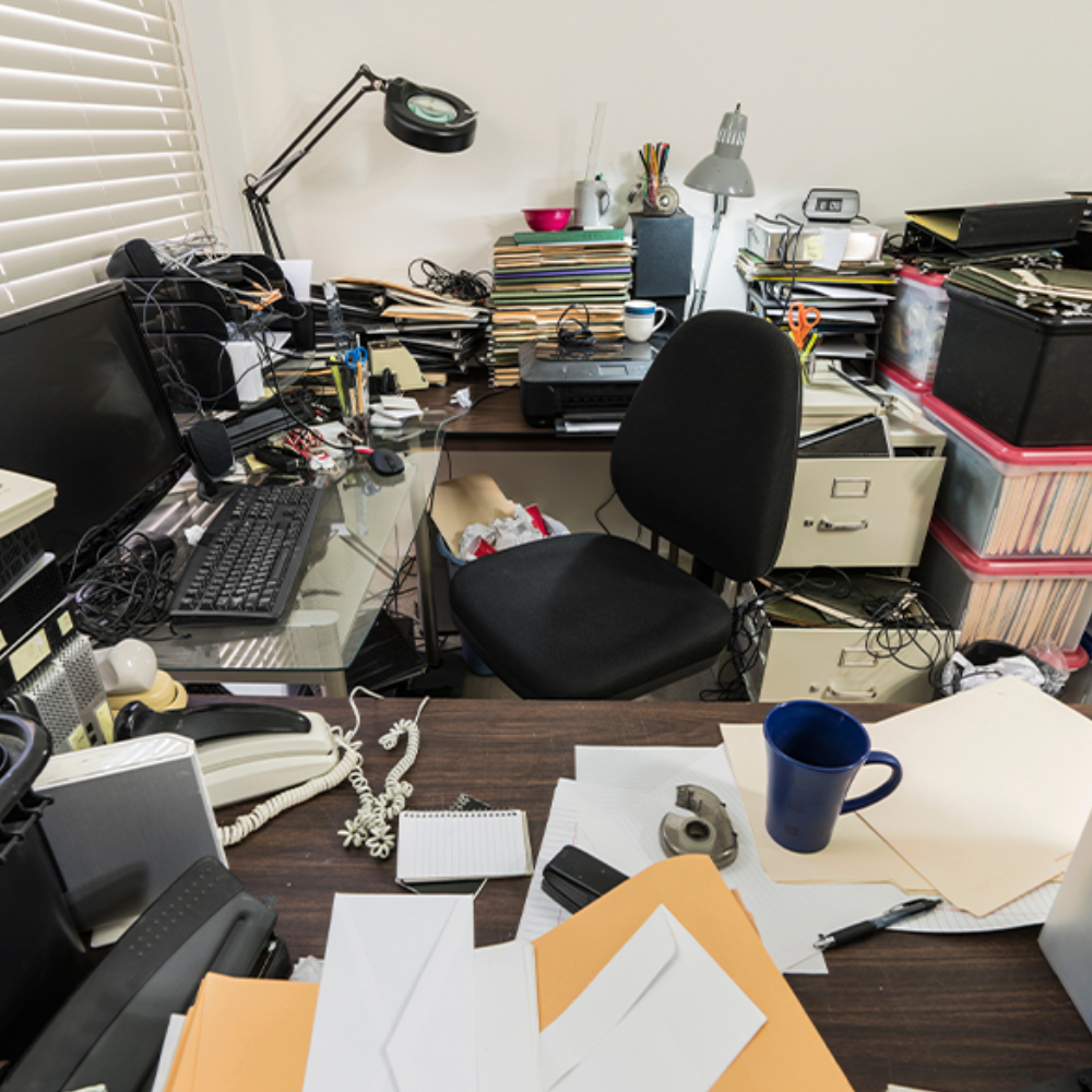 Junk Removal Cleanout