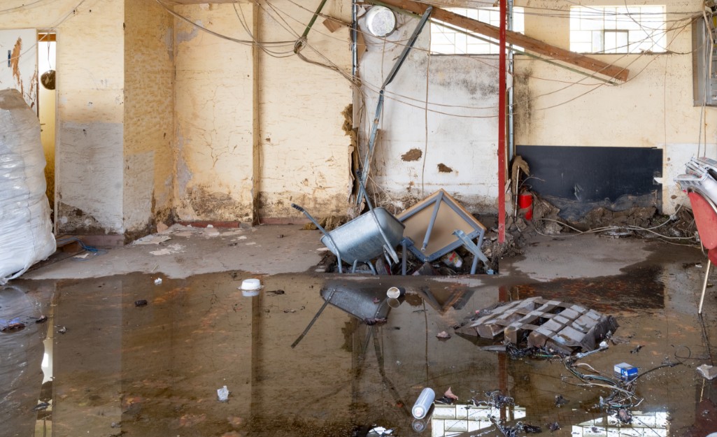 Flood Damage Cleanout Service In Aloha